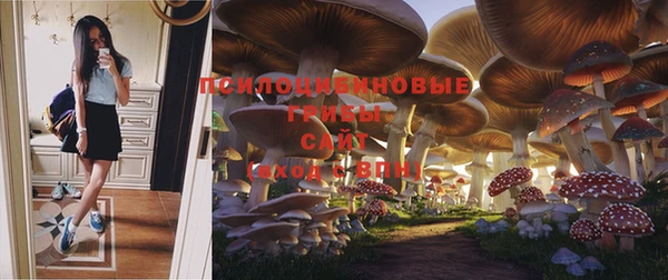 ALPHA PVP Михайлов